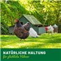 HÜHNER Land I festin de vers de Farine, charcuterie vers de Farine séchés 5 litres pour volailles d'ornement, Reptiles - Aliment