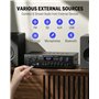 Donner Bluetooth 5.0 Amplificateur de Puissance Audio