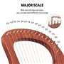 Donner Lyre Harpe Acajou 16 Cordes Métal Selle en os Dans le Style de la Grèce Antique avec Clé de réglage et Housse Noire, DLH-