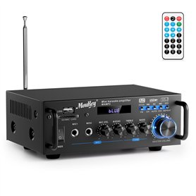 Moukey Amplificateur Audio 2.0 Canaux