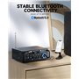 Amplificateur HiFi