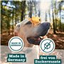 Chewies Training Mini Snacks Friandises pour Chien - Friandises saines pour Chien sans Sucre, idéales comme récompense et Motiva