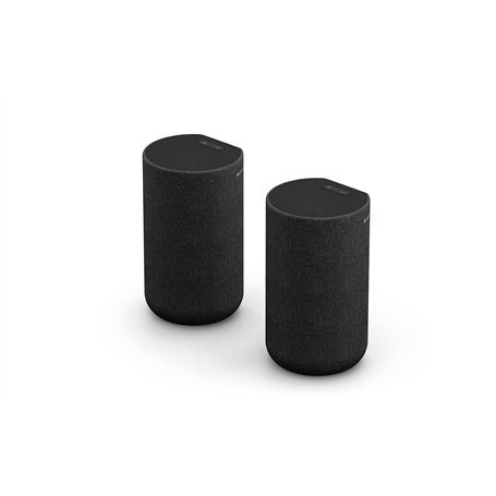 Sony SA-RS5 - Enceintes arrière Satellites sans Fil avec Batterie intégrée