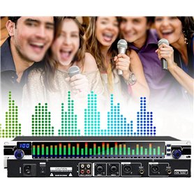 Kanduo Égaliseur stéréo Audio Égaliseur 31 Bandes