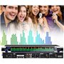 Kanduo Égaliseur stéréo Audio Égaliseur 31 Bandes
