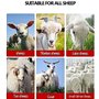 Kanduo Tondeuse Electrique Mouton 1000W Moutons cisailles Laine Ciseaux électrique Sheap Clipper Farm Machine