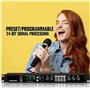 HGOuhK Égaliseur numérique Processeur Audio, Multi-Effets de réverbération numérique Professionnel avec processeur DSP Égaliseur