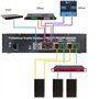 HGOuhK Égaliseur numérique Égaliseur Graphique Professionnel, analyseur de Spectre Audio 31 Bandes, processeur DSP, 10 Effets, r