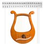 19 Cordes Lyra Modèle Unique Sculpté Symboles phonétiques