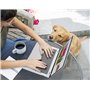 ASUS Vivobook 14 Copilot+ PC S1407QA-LY043W 14.0" WUXGA 60Hz Pc Portable (Snapdragon X1 26 100 Processeur 2.97GHz, 16GB LPDDR5X,