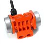 JUJNE Moteur de Vibration de Vibrateur en BéTon 30W 220V 3000Rpm Monophasé/ContrôLeur de de Moteur