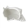 LOLPALONE 1 PCS Porte-Bougie avec Coquille de Conque