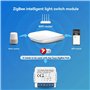 Eorleya Tuya ZigBee Zero Disjoncteur Actionné par Circuit à Deux Voies, Compatible avec la Commande Vocale, pour une Automatisat