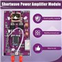Heilanole Module D'Amplificateur de Puissance Portable DC 12-15V 20W pour Émetteur-Récepteur à Ondes Courtes avec Filtre Passe-B