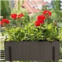 Wlauqueta 1 paire de crochets pour pots de fleurs - Pour balcon - Réglable en hauteur - Taille S