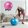 Support Mural pour Ballon d'exercice pour Ballon de Yoga de Stockage de Garage de Salle