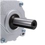 Barabesty Moteur à Brosse Basse Vitesse 250 W 24 V CC brossé Moteur Basse Vitesse Arbre 44 mm, diamètre de l' 17 mm 75 TR/Min