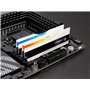 G.SKILL Trident Z5 RGB Series (Intel XMP 3.0) DDR5 RAM 48 Go (2 x 24 Go) 8400 MT/s CL40-52-52-134 1,40 V Mémoire UDIMM Blanc mat