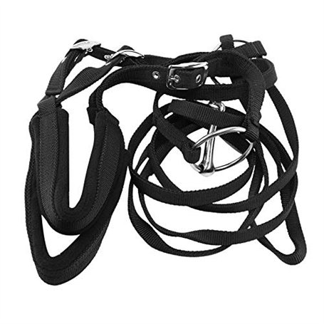 Nicfaky RéGlable ÉQuitation ÉQuipement Licol Cheval Bridon avec Mors et Ceinture de Rein pour Cheval ÉQuestre Accessoires Doux É
