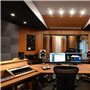 Heilanole Lot de 12 Panneaux Acoustiques en Mousse 1 X 12 X 12 Pouces Panneaux Antibruit Insonorisants pour Studio D'Enregistrem