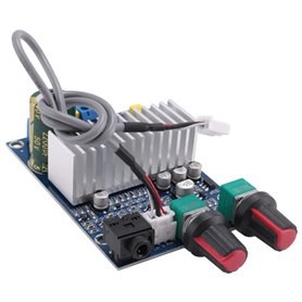 Xiniy Tpa3116 Carte Amplificateur de Subwoofer 100 W Sortie Basse Dc12-24V Petits Amplificateurs de Puissance Numériques Accesso