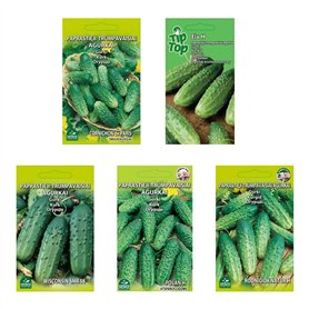 Nojus Lot de graines de concombre - 5 variétés - Kit de démarrage de graines de concombre variées - 5 paquets - Graines de jardi