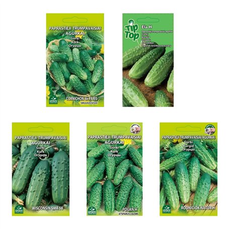 Nojus Lot de graines de concombre - 5 variétés - Kit de démarrage de graines de concombre variées - 5 paquets - Graines de jardi