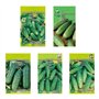 Nojus Lot de graines de concombre - 5 variétés - Kit de démarrage de graines de concombre variées - 5 paquets - Graines de jardi