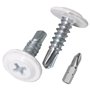 SKIR'CO Lot de 150 vis autoforeuses peintes 4