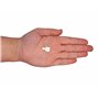 SKIR'CO Lot de 50 chevilles de support d'étagère en plastique de 5 mm, Blanc (S1)