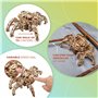 UGEARS Hexapod Explorer Puzzle 3D - Kits de modèle de Robot araignée mécanique Cadeau de fête des pères pour Adultes Puzzles en 