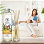 Recharge Diffuseur Gingembre et Basilic 200ml - Recharge Diffuseur à l'Huile Essentielle de Gingembre - Aromathérapie - Parfum d