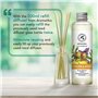 Recharge Diffuseur Gingembre et Basilic 200ml - Recharge Diffuseur à l'Huile Essentielle de Gingembre - Aromathérapie - Parfum d