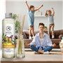 Recharge Diffuseur Gingembre et Basilic 200ml - Recharge Diffuseur à l'Huile Essentielle de Gingembre - Aromathérapie - Parfum d