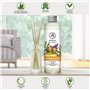 Recharge Diffuseur Gingembre et Basilic 200ml - Recharge Diffuseur à l'Huile Essentielle de Gingembre - Aromathérapie - Parfum d