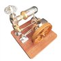 Sunmeit 1 Pièce Modèle de Moteur Stirling Vitesse Réglable avec Volant D'Inertie Vertical Physique Puissance Science Expérience