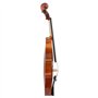 Pyanegn Violon 4/4, Instruments de Musique pour Adultes et Enfants, avec éTui Rigide, Archet, IdéAl pour les DéButants