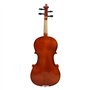 Pyanegn Violon 4/4, Instruments de Musique pour Adultes et Enfants, avec éTui Rigide, Archet, IdéAl pour les DéButants