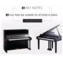 Brensty Guide des Notes de Piano pour DéButant, éTiquettes de Note de Clavier de Piano Amovibles 61 Touches Pleine Taille, Pas B