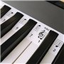 Brensty Guide des Notes de Piano pour DéButant, éTiquettes de Note de Clavier de Piano Amovibles 61 Touches Pleine Taille, Pas B