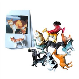 Hurromy Enfants Animaux avec Cartes D'Association Apprentissage Sensoriel éDucatifs Animaux en Plastique pour Enfants