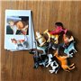 Hurromy Enfants Animaux avec Cartes D'Association Apprentissage Sensoriel éDucatifs Animaux en Plastique pour Enfants