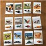 Hurromy Enfants Animaux avec Cartes D'Association Apprentissage Sensoriel éDucatifs Animaux en Plastique pour Enfants