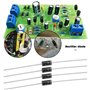 OTOTEC Lot de 50 Diodes de Redressement SB2100 2 A 100 V DO-15 Adaptées Aux Applications de Protection de Polarité en Roue Libre