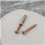OTOTEC 50pcs Ancrage Mural en Acier avec Vis 6x32mm Fixations pour Cloisons Sèches Ancrage 5x40mm Vis pour Mur en Béton Mur Creu