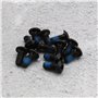 EMSea Lot de 12 boulons de Rotor de Frein à Disque M5 x 10 mm - Vis de Frein T25 pour VTT, vélo de Route, vélo de Route, équipem