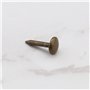 YINETTECH Lot de 200 clous ronds à tête bombée en laiton antique pour meubles, canapés, agrafes métalliques épaisses pour meuble