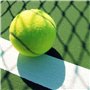 Micvtve 6 PièCes SéRies/Paquet Balles de Tennis Balles D'EntraîNement éLastiques RéSistantes à l'usure 66Mm Dames DéButants Prat