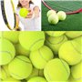 Micvtve 6 PièCes SéRies/Paquet Balles de Tennis Balles D'EntraîNement éLastiques RéSistantes à l'usure 66Mm Dames DéButants Prat