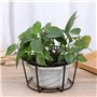 Erpmlyo 4 PièCes -Corps Suspendus JardinièRes Porte-Pots de Fleurs Plante Fer Supports ClôTure MéTal en Pot Support Monté Balcon